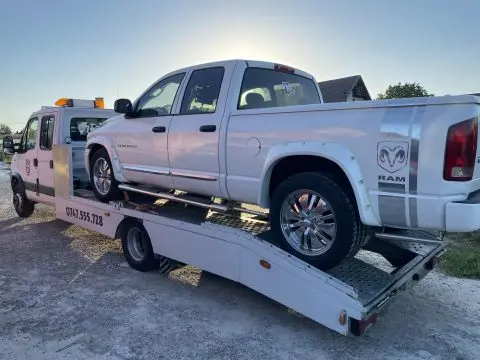 Transport auto pe platformă ALPEPO Botoșani – fotografia 12